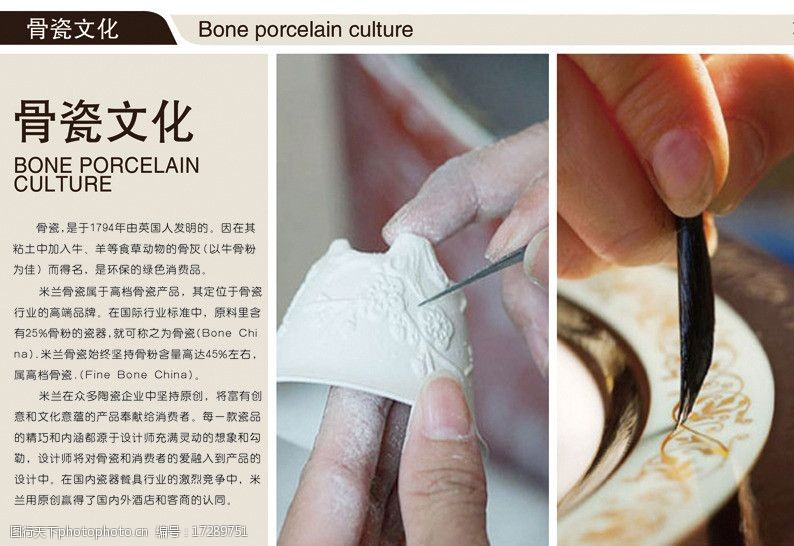 探秘骨质瓷 优雅与工艺的完美融合